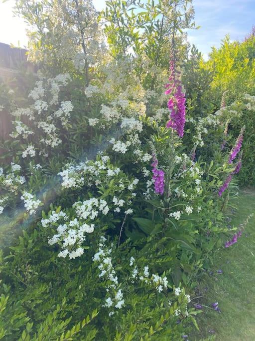 Villa Cosy House Rural Setting Lickey End Esterno foto